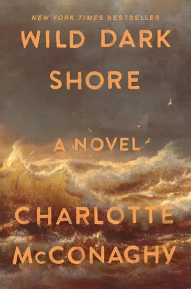 Wild Dark Shore: A Novel Paperback  March 3, 2026